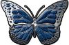 
	Chrome Butterfly Decal in Blue
