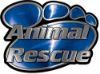Animal Pet Rescue Paw Decal in Blue