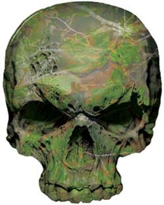 
	Skull Decal / Sticker in Camouflage
