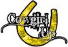 
	Cowgirl Up Decal / Sticker Western Style Writing with Horseshoe in Yellow Camouflage
