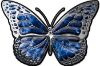 
	Chrome Butterfly Decal in Blue Inferno
