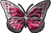 
	Chrome Butterfly Decal in Pink Inferno
