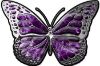 
	Chrome Butterfly Decal in Purple Inferno
