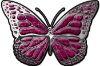 
	Chrome Butterfly Decal in Pink
