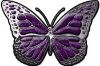 
	Chrome Butterfly Decal in Purple
