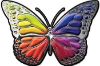 
	Chrome Butterfly Decal with Rainbow Colors
