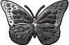 
	Chrome Butterfly Decal in Gray
