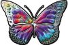 
	Chrome Butterfly Decal with Tie Dye Colors
