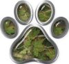 
	Dog Cat Animal Paw Sticker Decal in Camouflage
