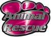 
	Animal Pet Rescue Paw Decal in Pink
