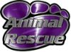 
	Animal Pet Rescue Paw Decal in Purple
