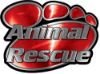 
	Animal Pet Rescue Paw Decal in Red
